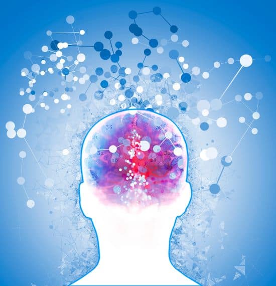 Neuroscience in Language Learning - Neurolanguage Coaching : Brain Friendly Language Learning Neuroscience in Language Learning